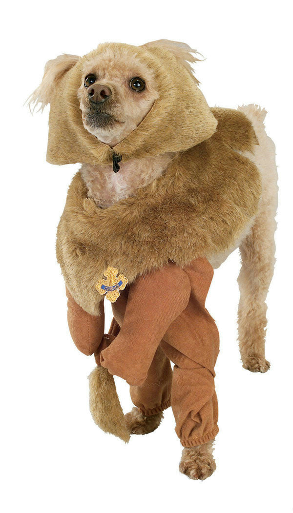 Dog wearing the Wizard of Oz Cowardly Lion Dog Costume in X Large, Halloween Store, sold through Sniff and Shift