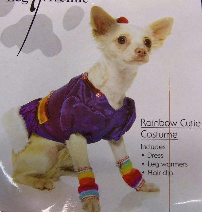Dog or cat wearing the Rainbow Cutie Brite Dog Cat Costume in XS, Halloween Store, sold through Sniff and Shift