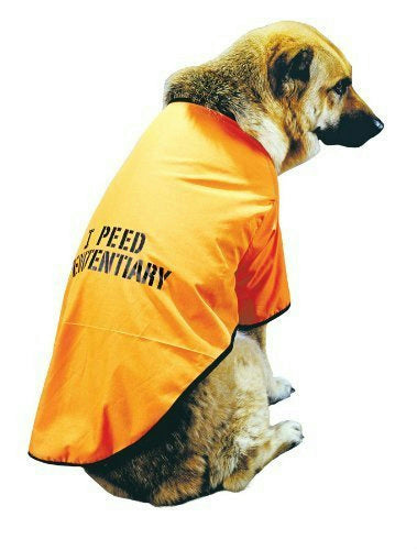 Dog wearing the Got Busted Convict Pet Costume, Halloween Store, sold through Sniff and Shift
