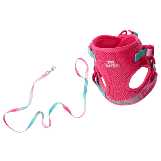 Stasia Cat Harness and Leash Set in deep pink, Small, Medium, Large, Pink Papyrus Co., sold through Sniff and Shift