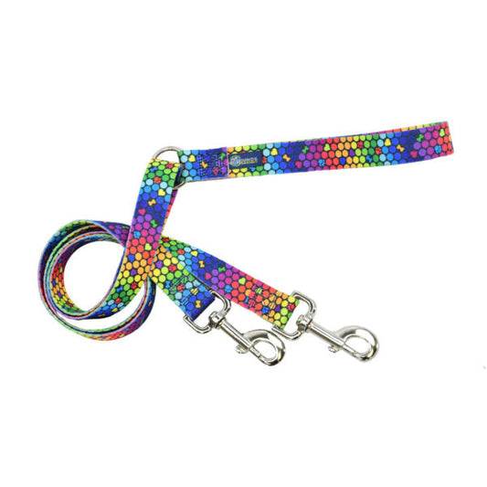 ROY G BIV EarthStyle Double Connection Leash by 2 Hounds Design, sold through Sniff and Shift