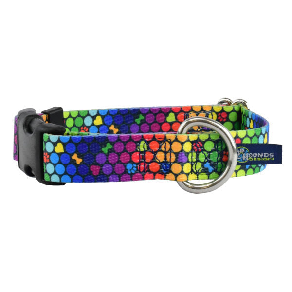 ROY G BIV EarthStyle Dog Collar by 2 Hounds Design, sold through Sniff and Shift