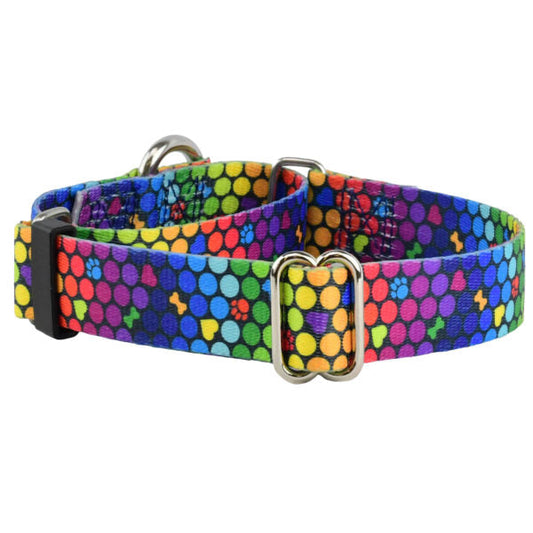 ROY G BIV EarthStyle Martingale Dog Collar by 2 Hounds Design, sold through Sniff and Shift