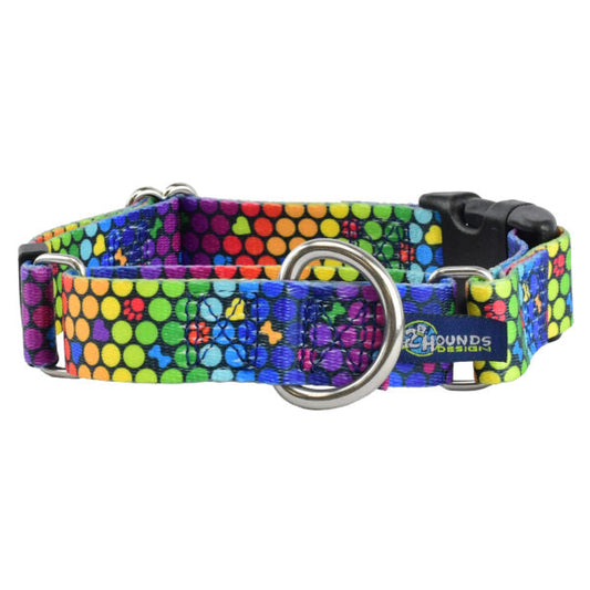 ROY G BIV EarthStyle Buckle Martingale Dog Collar by 2 Hounds Design, sold through Sniff and Shift
