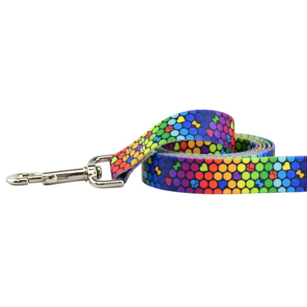 ROY G BIV EarthStyle Dog Leash by 2 Hounds Design, sold through Sniff and Shift