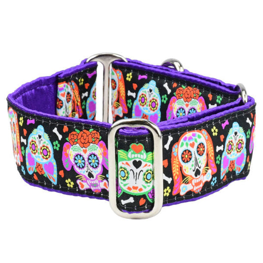 XOLO Sugar Skull Martingale Dog Collar by 2 Hounds Design, sold through Sniff and Shift