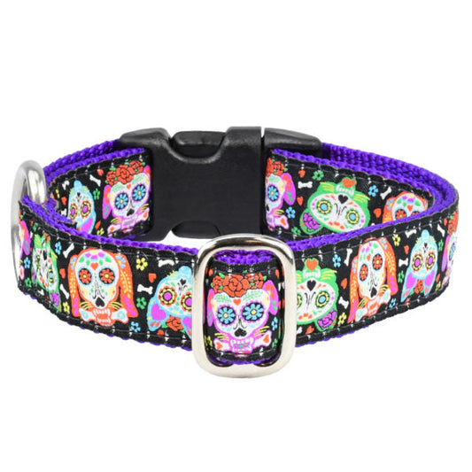 XOLO Sugar Skull Essential Martingale Dog Collar 1″ by 2 Hounds Design, sold through Sniff and Shift