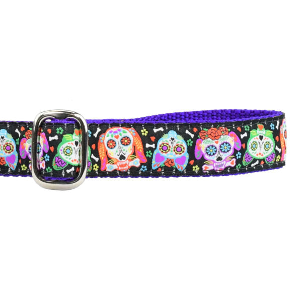 XOLO Sugar Skull Ribbon Dog Leash 1″