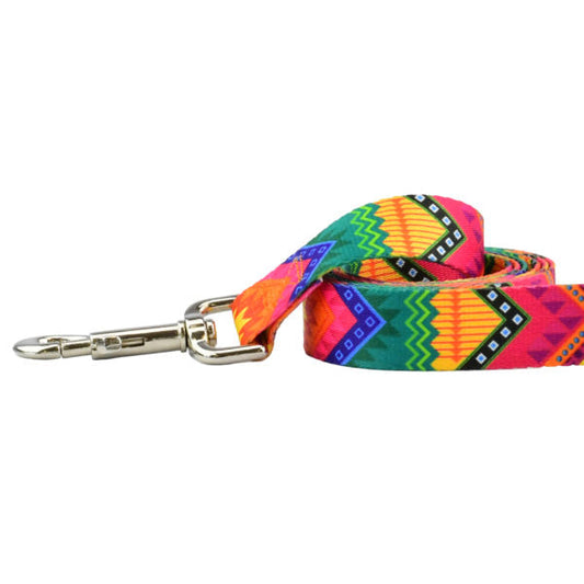 BFF (Best Friends Forever) EarthStyle Dog Leash by 2 Hounds Design, sold through Sniff and Shift