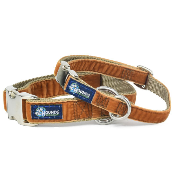Antique Gold Velvet Essential Martingale Dog Collar by 2 Hounds Design, sold through Sniff and Shift