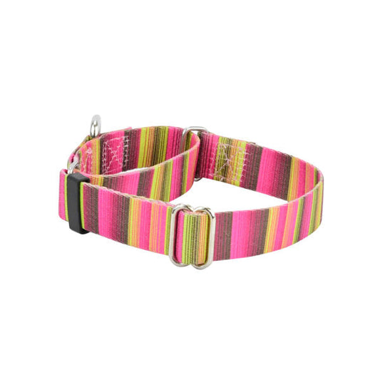 Bonnie EarthStyle Martingale Dog Collar by 2 Hounds Design, sold through Sniff and Shift