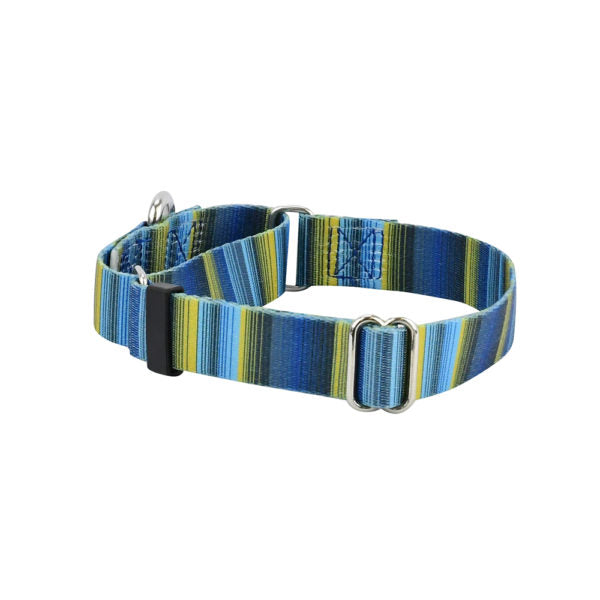 Clyde EarthStyle Martingale Dog Collar by 2 Hounds Design, sold through Sniff and Shift