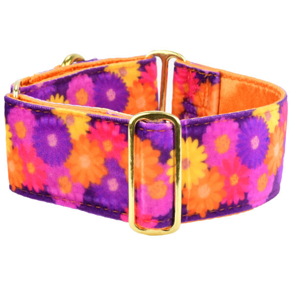 Gerbera Daisy Elite Velvet Martingale Dog Collar by 2 Hounds Design, sold through Sniff and Shift