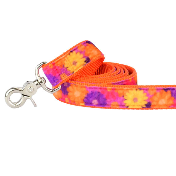 Gerbera Daisy Velvet Dog Leash by 2 Hounds Design, sold through Sniff and Shift