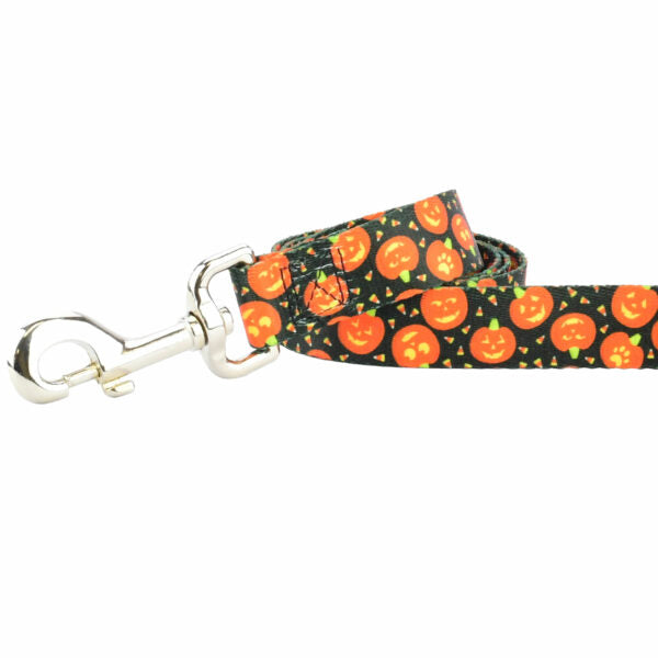 Jack O Lantern EarthStyle Dog Leash by 2 Hounds Design, sold through Sniff and Shift