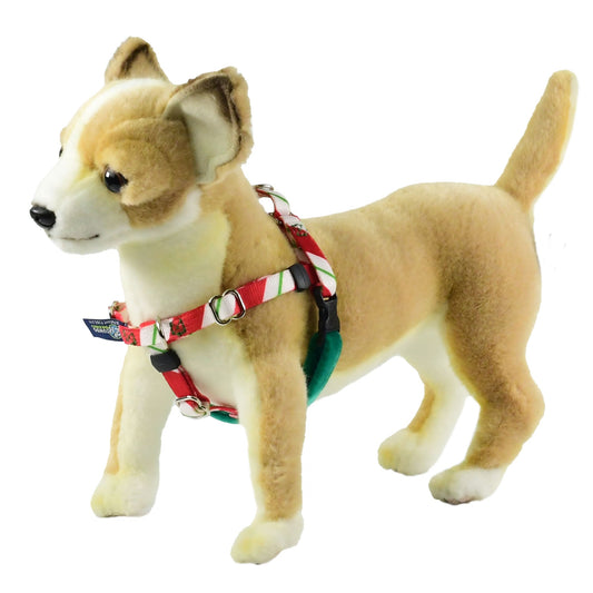 XXSmall Peppermint Freedom No-Pull Harness 13″-16″ Chest by 2 Hounds Design, sold through Sniff and Shift