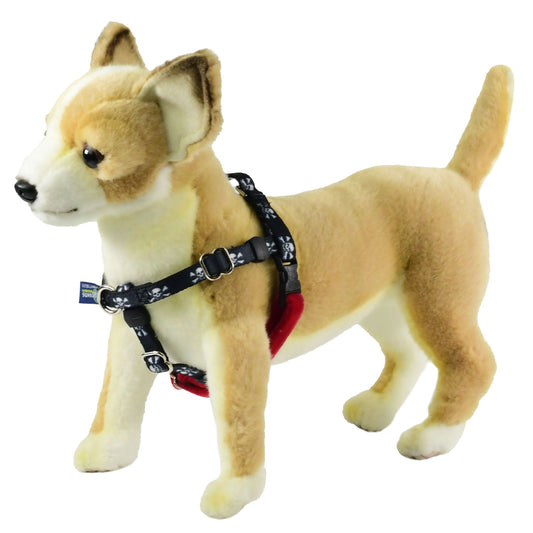 XXSmall Skulls Freedom No-Pull Harness 13″-16″ Chest by 2 Hounds Design, sold through Sniff and Shift