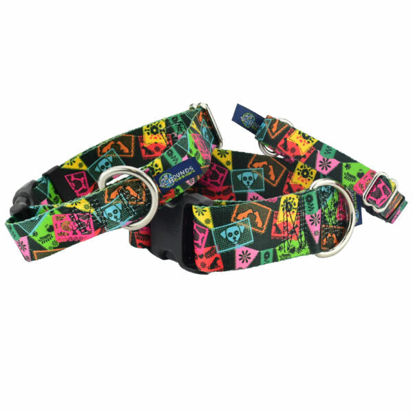Paper Flags EarthStyle Martingale Dog Collar by 2 Hounds Design, sold through Sniff and Shift