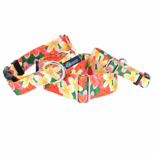 Aloha EarthStyle Dog Collar by 2 Hounds Design, sold through Sniff and Shift