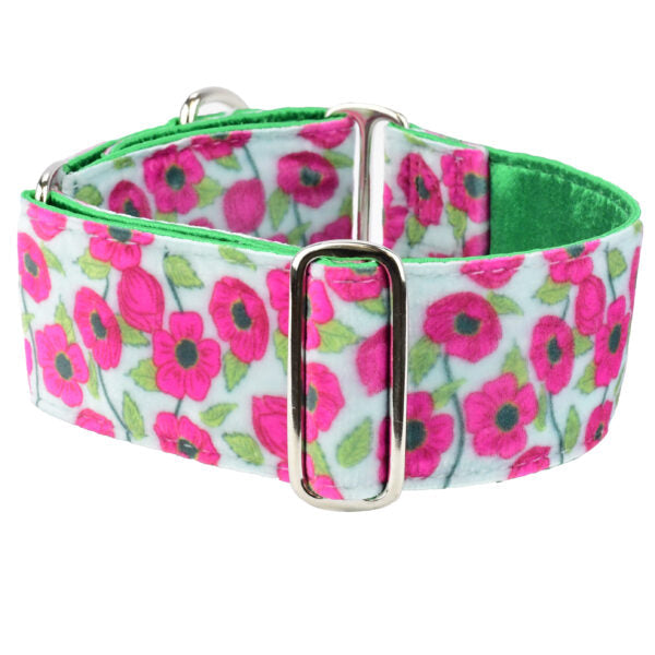 Bold Poppies Elite Velvet Buckle Martingale Dog Collar by 2 Hounds Design, sold through Sniff and Shift