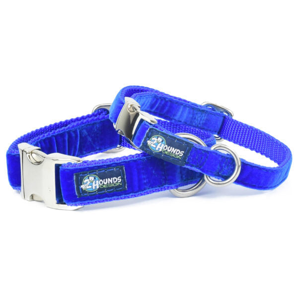Royal Blue Velvet Essential Dog Collar by 2 Hounds Design, sold through Sniff and Shift