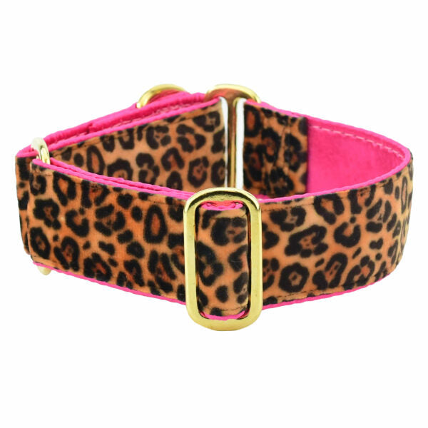 Soft Kitty Elite Velvet Dog Collar (Multiple Lining Color Options) by 2 Hounds Design, sold through Sniff and Shift