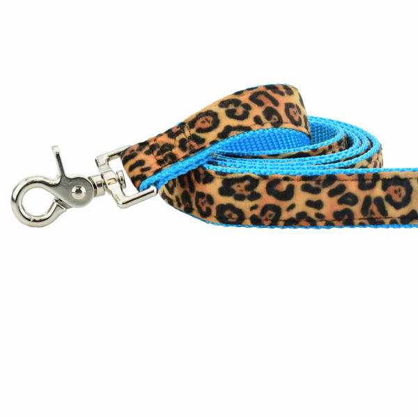 Soft Kitty Velvet Dog Leash (Multiple Webbing Color Options) by 2 Hounds Design, sold through Sniff and Shift