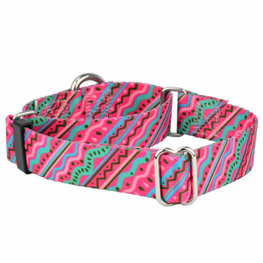 1980’s EarthStyle Martingale Dog Collar by 2 Hounds Design, sold through Sniff and Shift