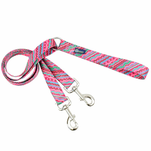 1980’s EarthStyle Double Connection Leash by 2 Hounds Design, sold through Sniff and Shift