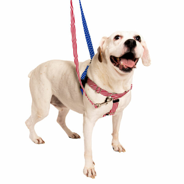 Star Spangled EarthStyle Freedom No-Pull Dog Harness