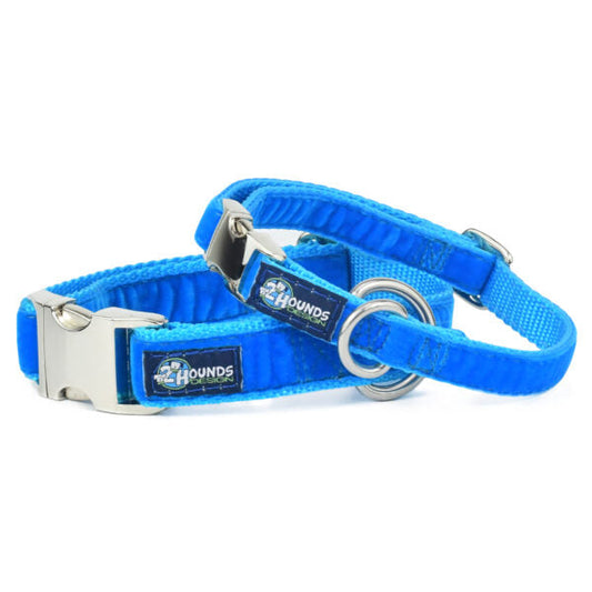 Venetian Blue Velvet Essential Dog Collar by 2 Hounds Design, sold through Sniff and Shift