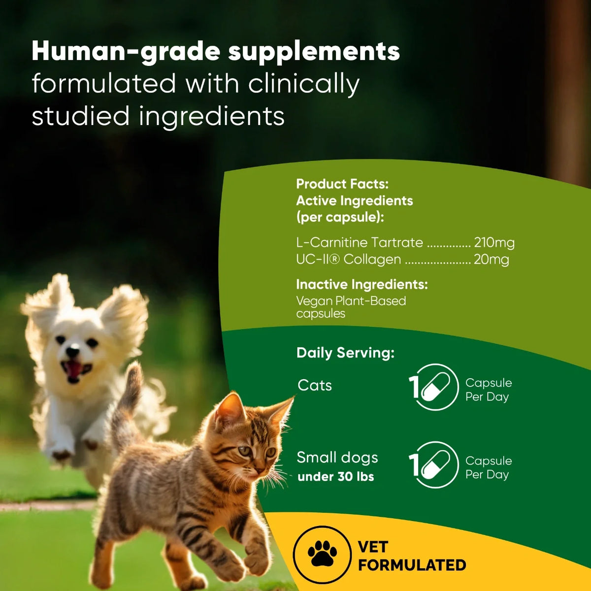 Joint & Muscle Health for Cats & Small Dogs