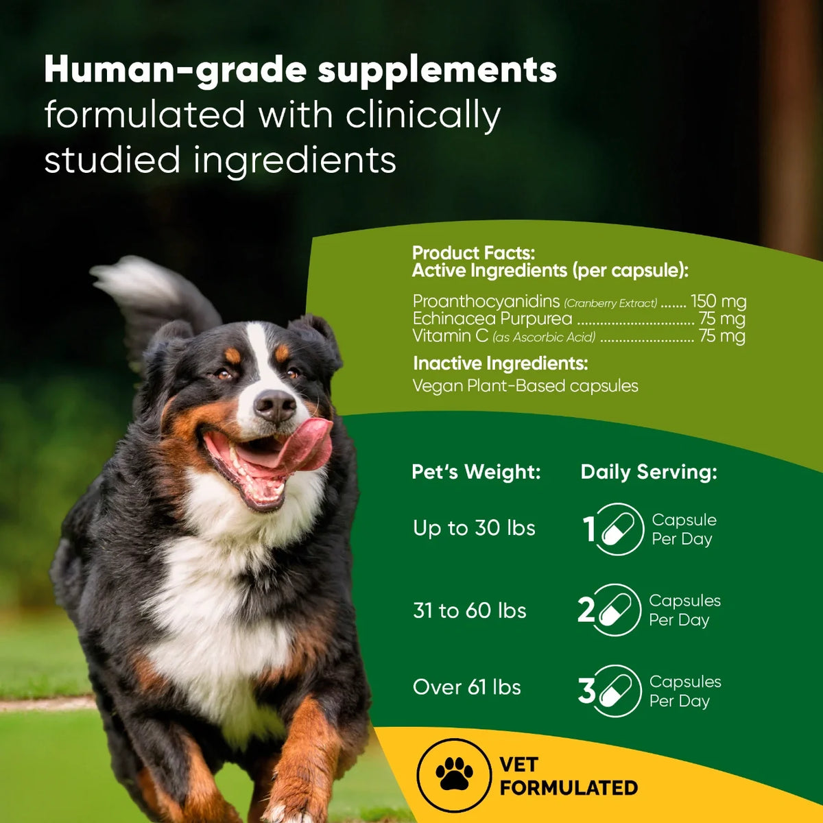 Urinary Support for Dogs