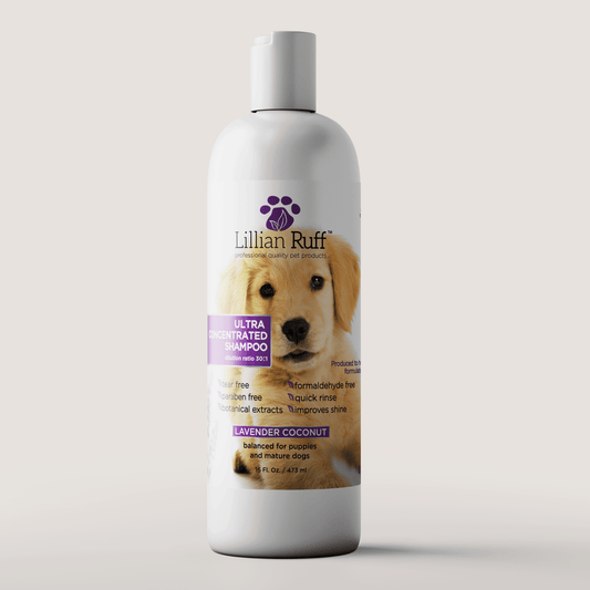 16 oz bottle of Ultra Concentrated Shampoo, Lillian Ruff, sold through Sniff and Shift
