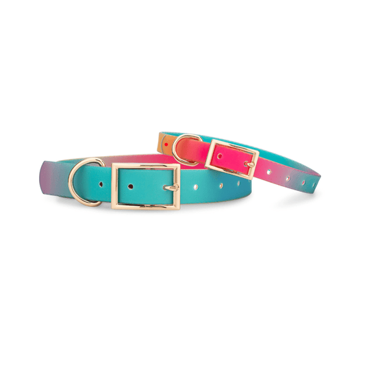 Pippa Dog Collar, waterproof and quick-dry, Pink Papyrus Co., sold through Sniff and Shift