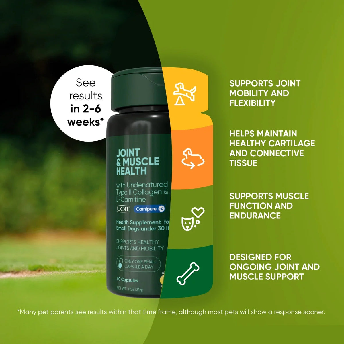 Joint & Muscle Health for Cats & Small Dogs