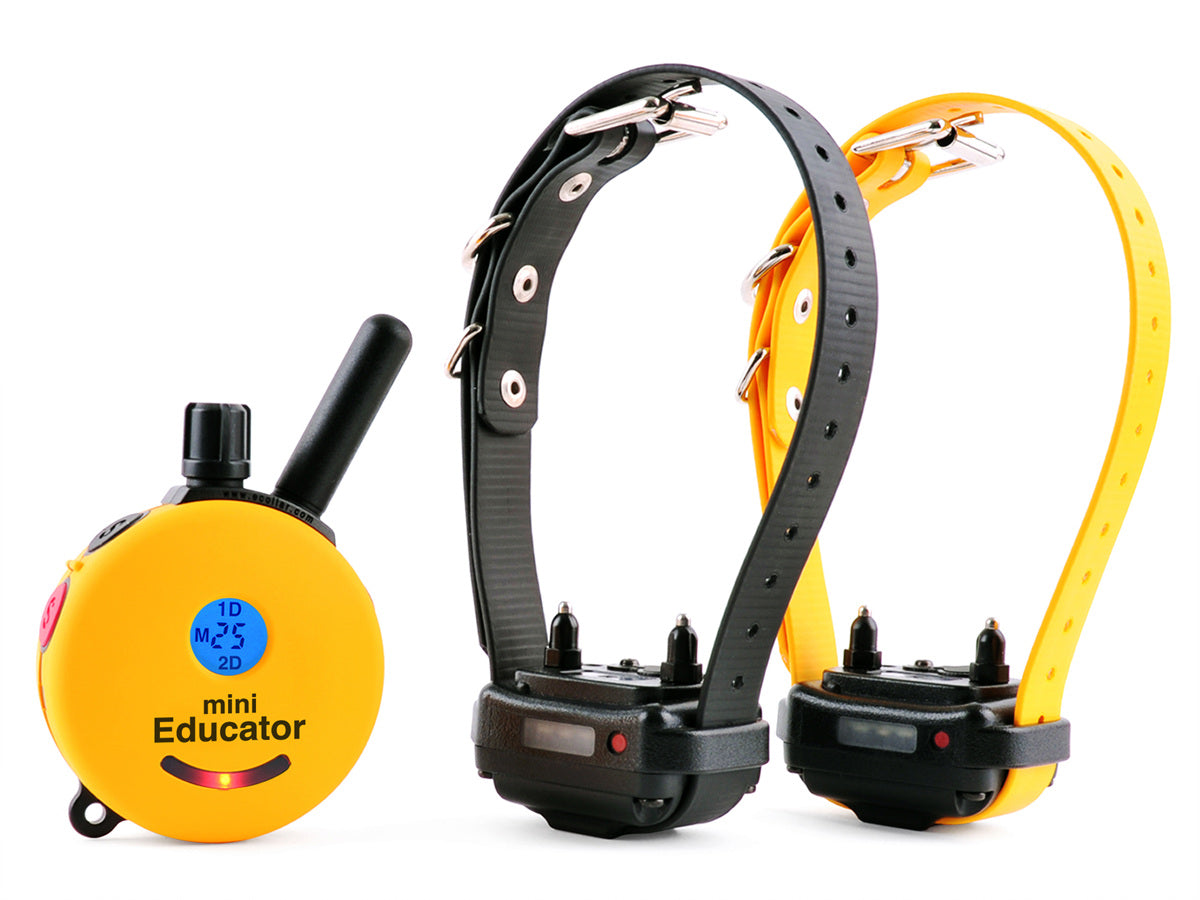 Mini Educator ET-302 two-dog remote training collar