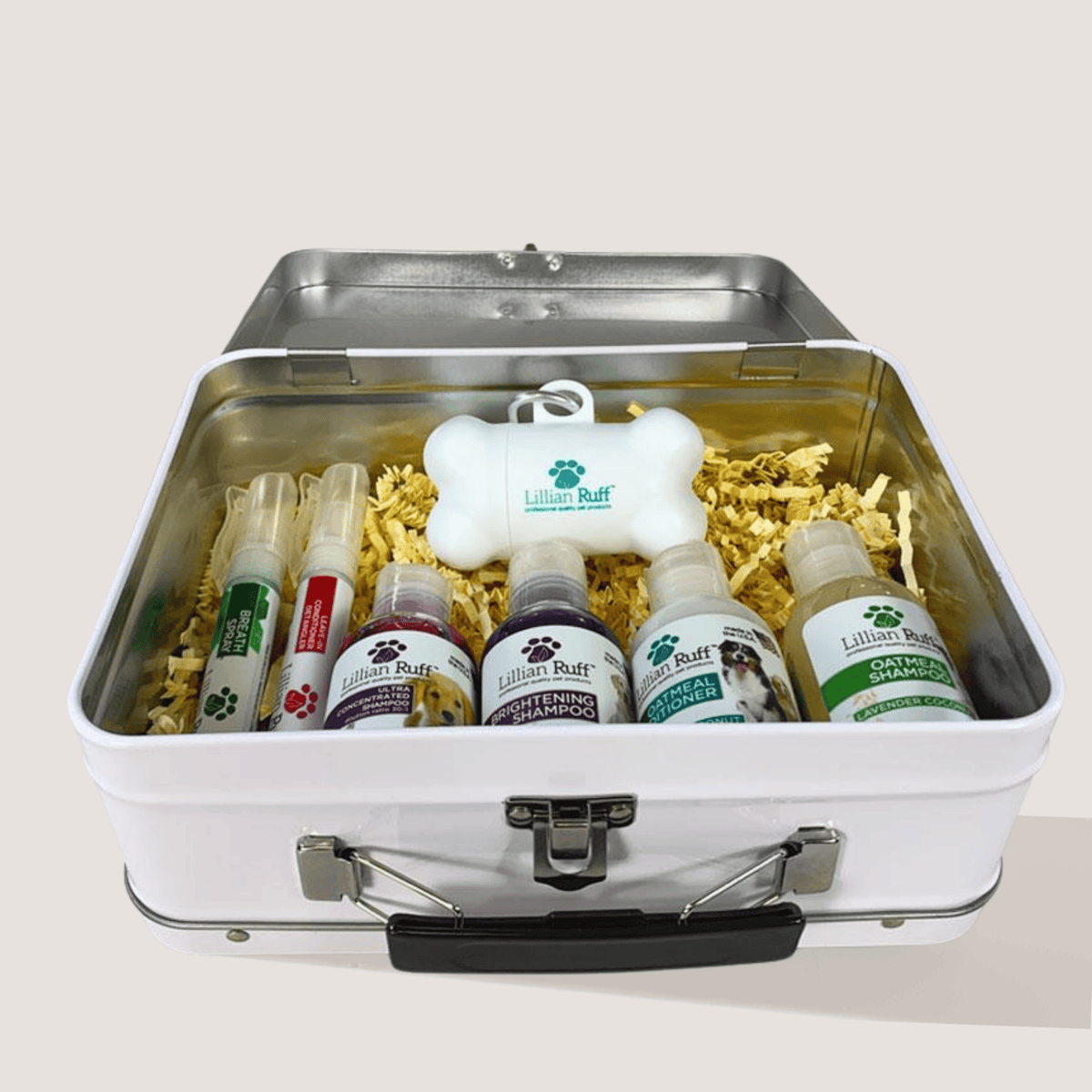 Premium Lunchbox With Core Product Samples