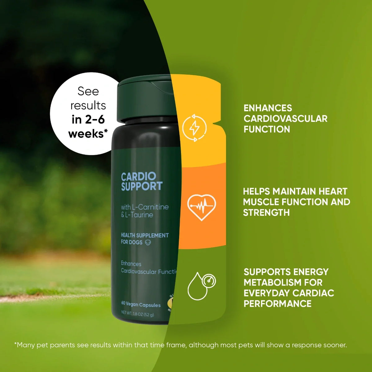 Cardio Support for Dogs