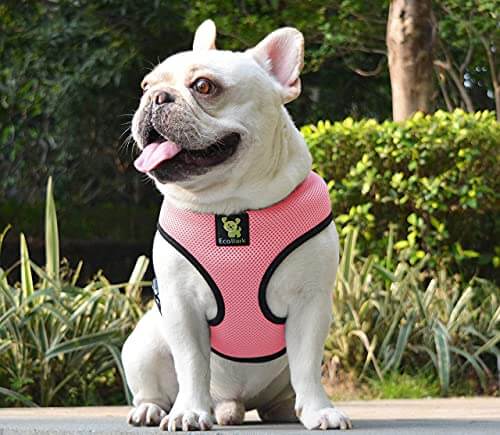 Over-the-Head Dog Harness, Vest Halter, Bubblegum Pink