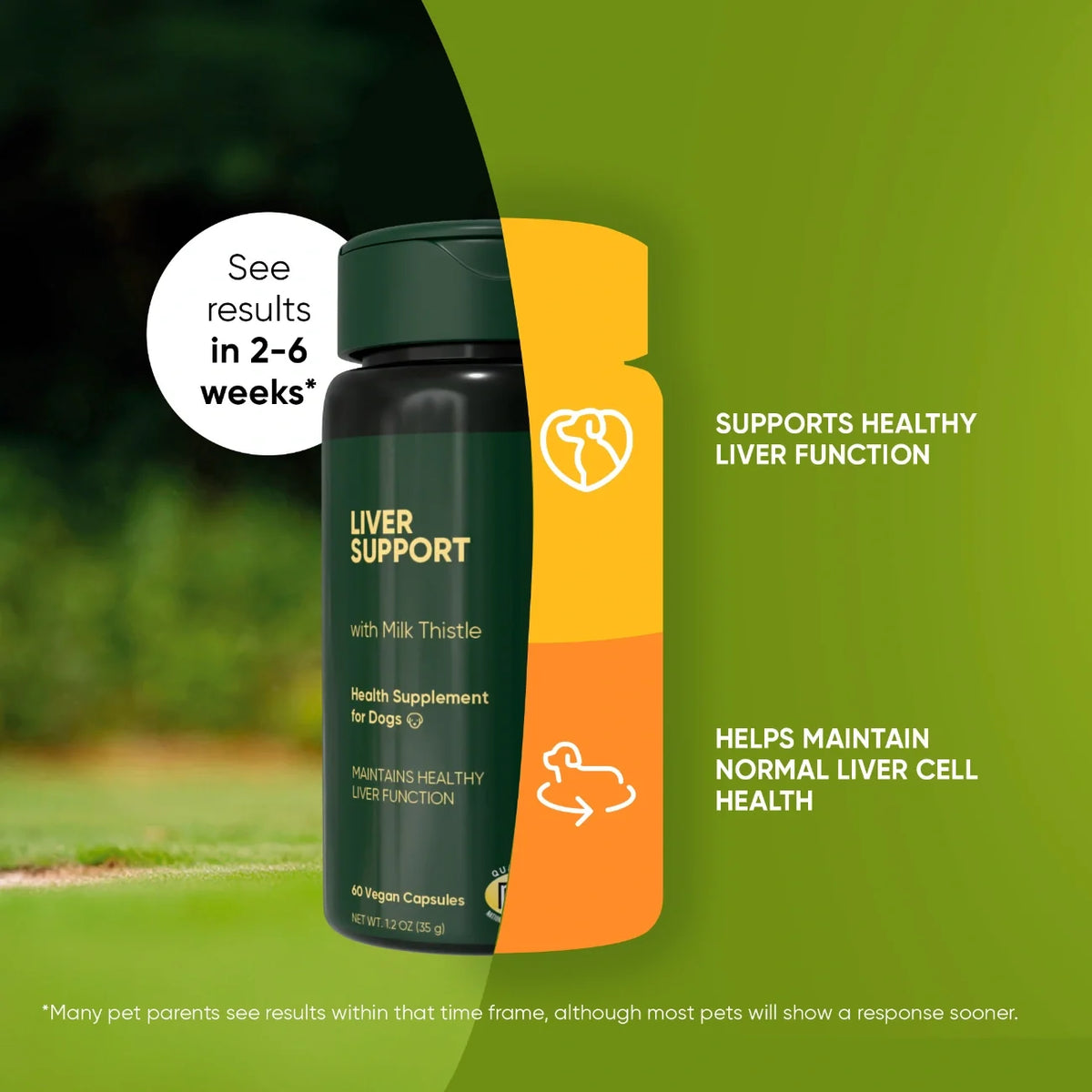 Liver Support for Dogs
