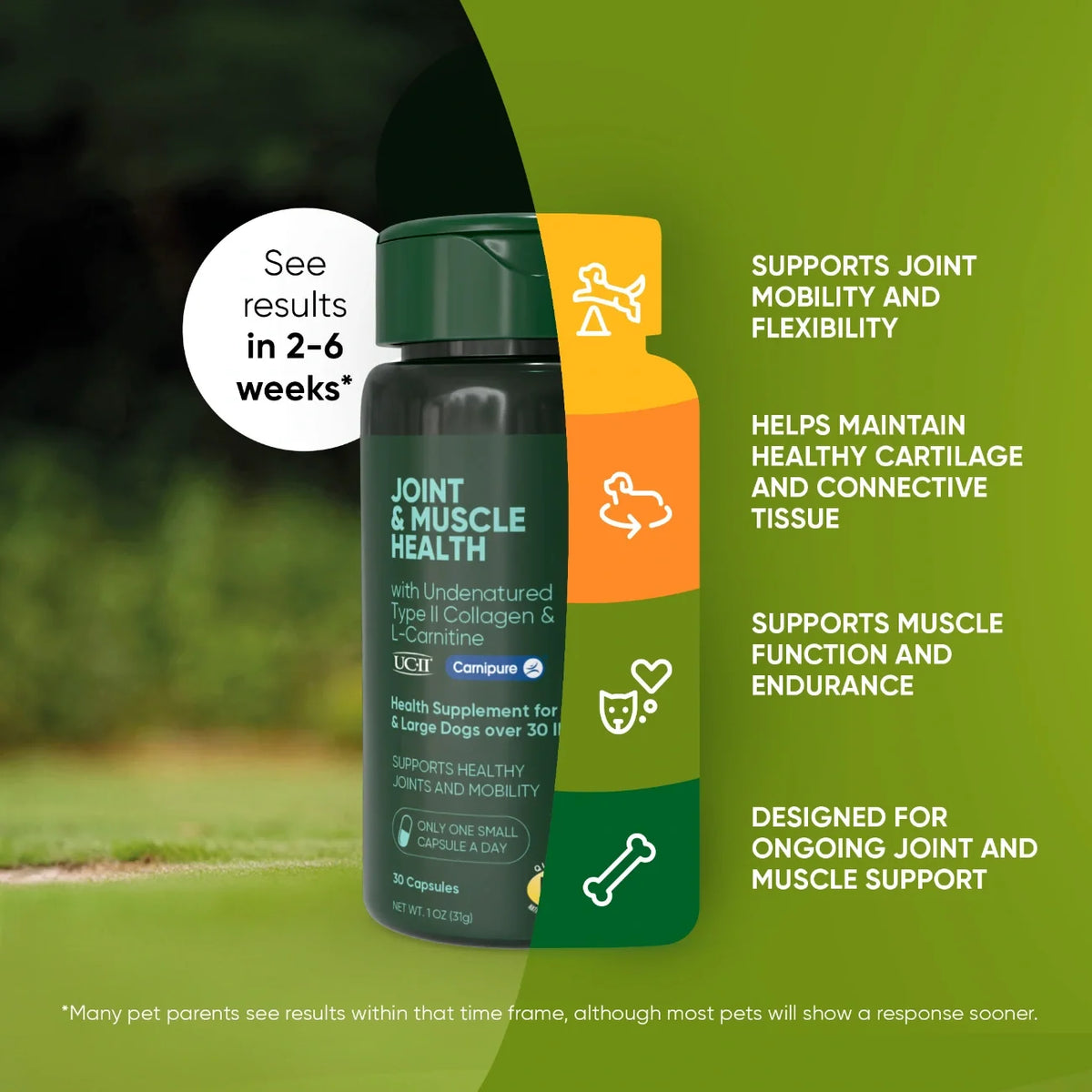 Joint & Muscle Health for Medium & Large Dogs