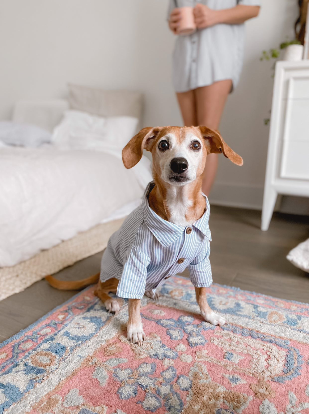 Hamptons Set, Dog and Adult Sizes