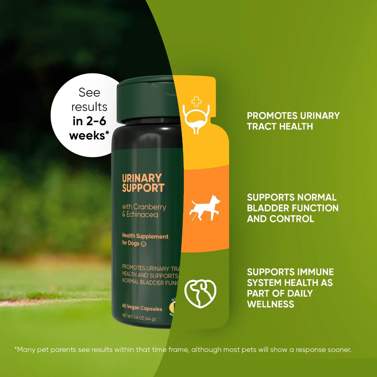 Urinary Support for Dogs
