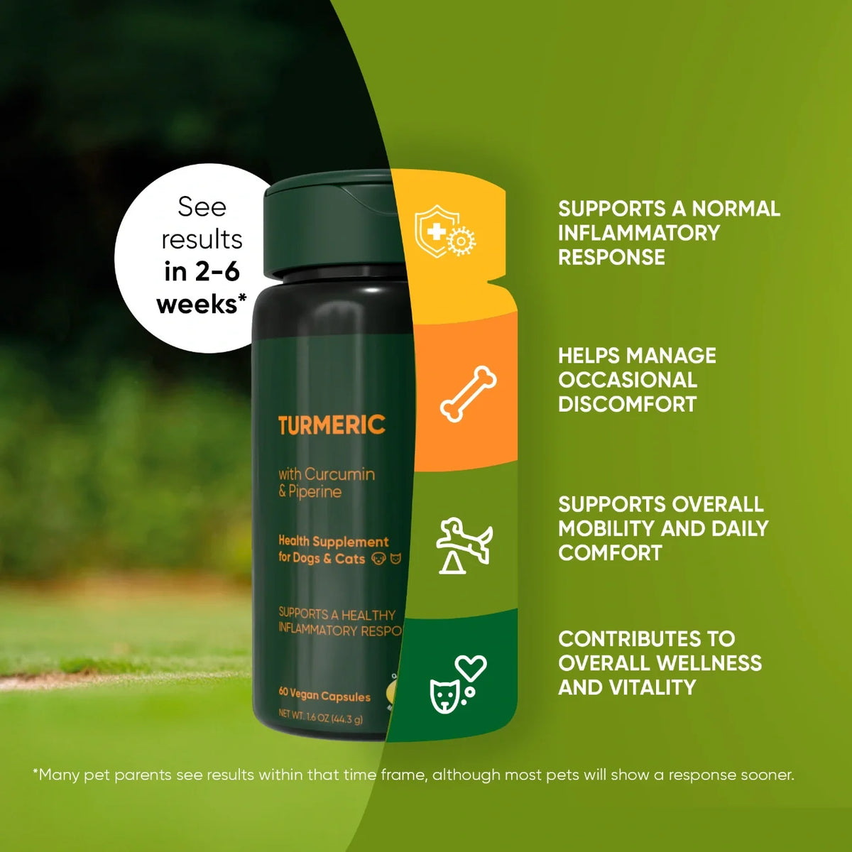 Turmeric for Cats & Dogs