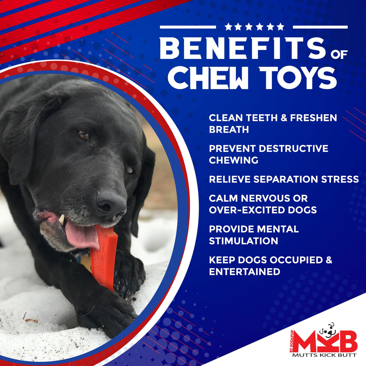 Headstone Nylon Chew Toy