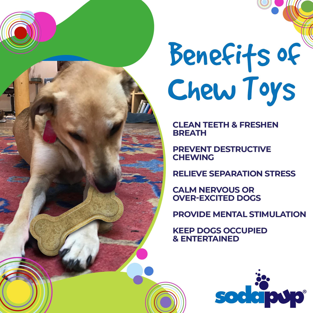Bone eChew Nylon Chew Toy