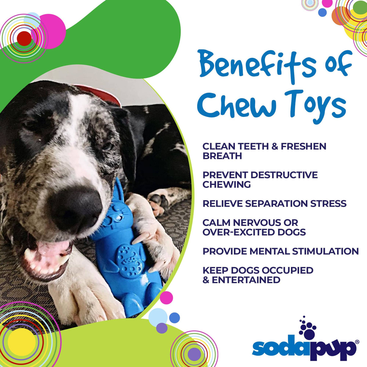 Bunny Nylon Chew Toy Large