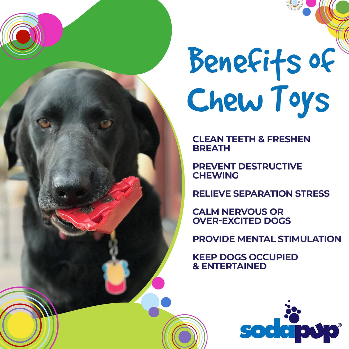 Cherry Pie Nylon Chew Toy