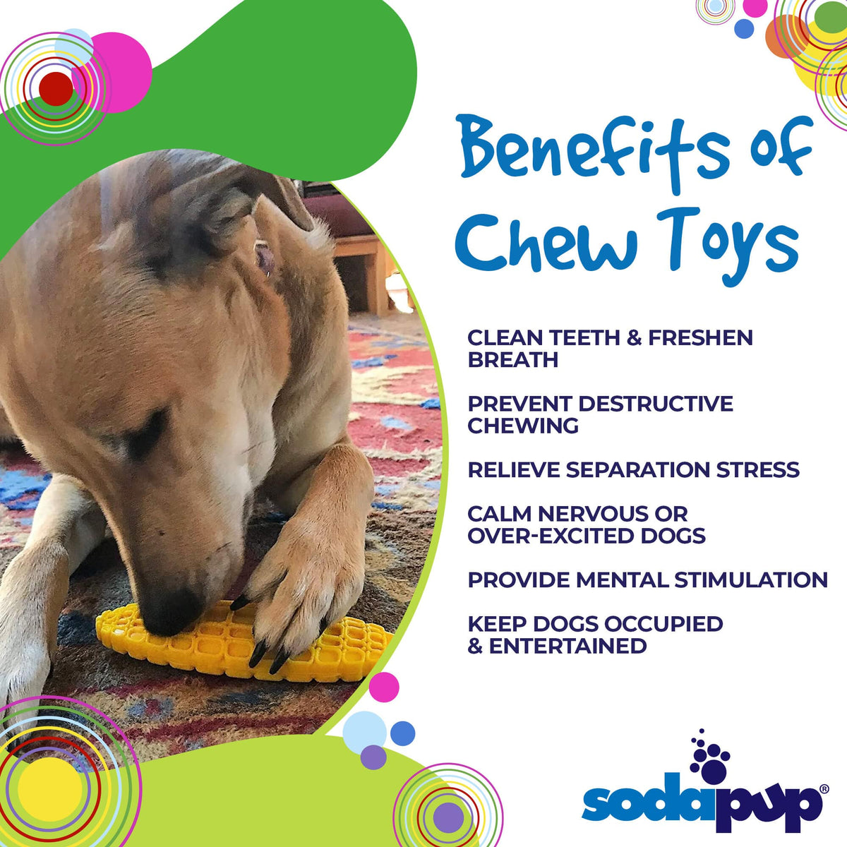 Corn on the Cob Nylon Chew Toy
